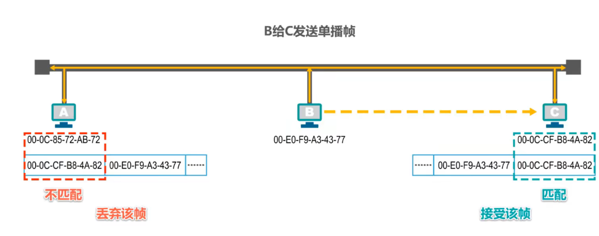 image-20220223205949186