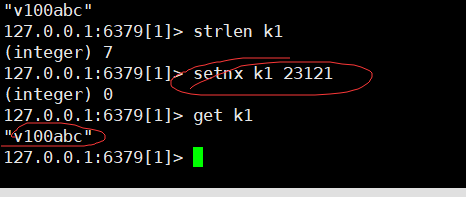 image-20220224001406837