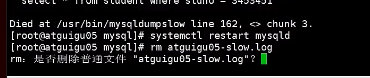 image-20220629105412729